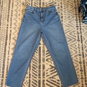 American Eagle Curvy Mom Jean